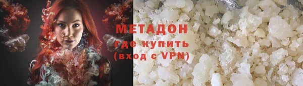 прущие грибы Вязьма