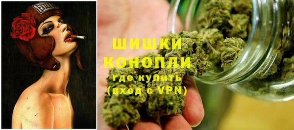 кокс Туринск