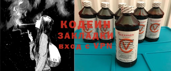 прущие грибы Вязьма
