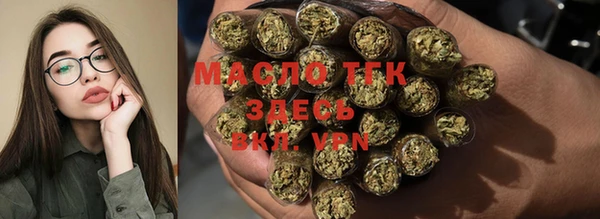 прущие грибы Вязьма