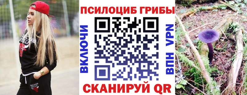 KRAKEN ссылка Курган Галлюциногенные грибы Magic Shrooms купить